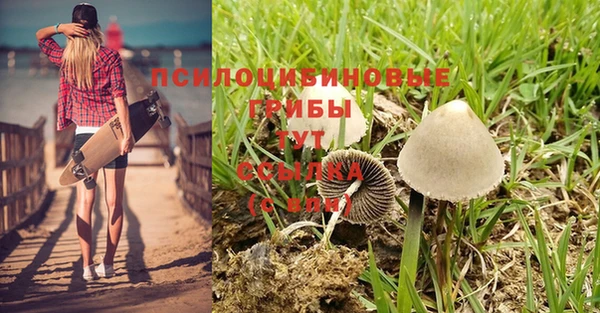 трава Богородск
