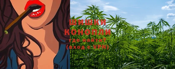 стафф Богданович