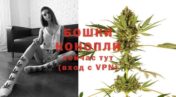 стафф Богданович